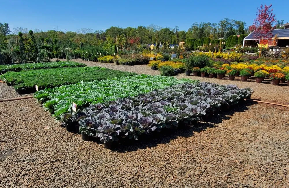 Professional outdoor landscaping with custom design across Neptune City, NJ - Fairscapes