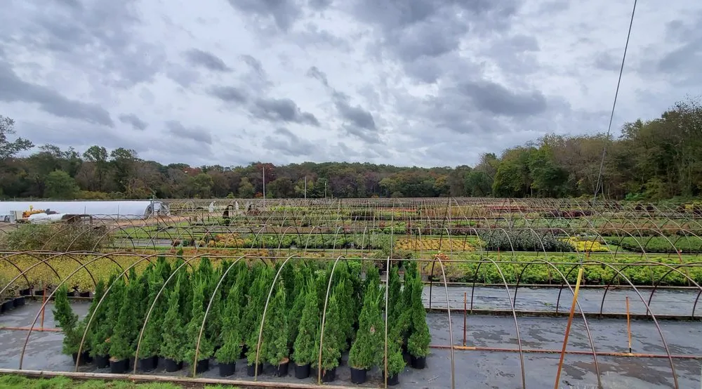 Trusted residential landscaping near you across Neptune City, NJ - Fairscapes