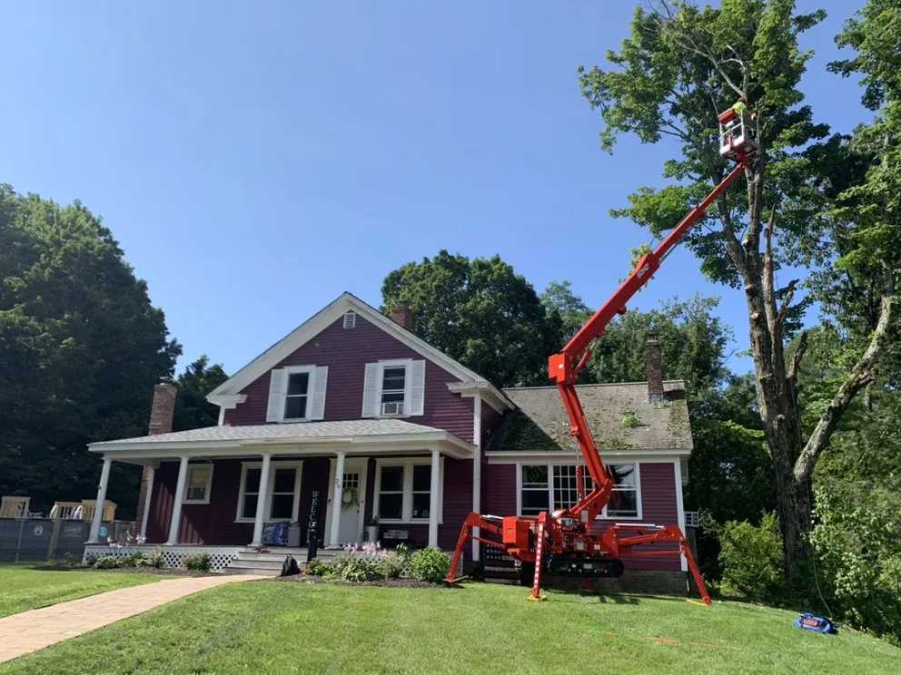 Reliable landscape design in Montague, MA - Fairview Landscapes & Tree Service