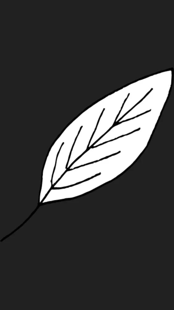 Local lawn mowing service experts serving Glenmoore, PA - Fairview Landscaping