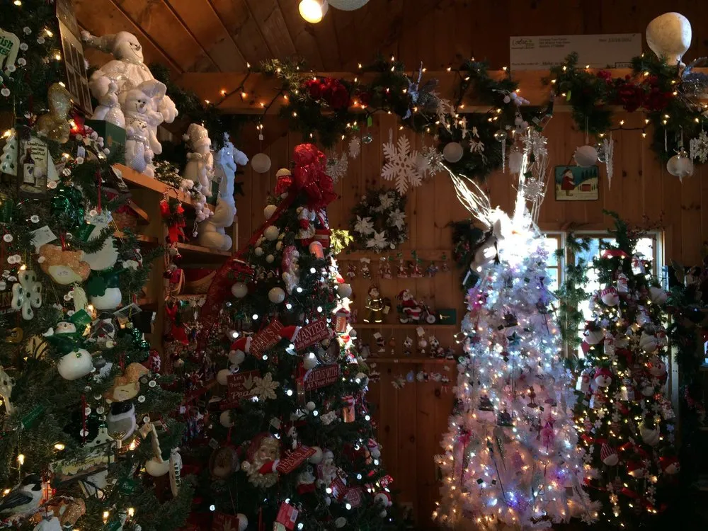 Expert residential landscaping in Shelton, CT - Fairview Tree Farm