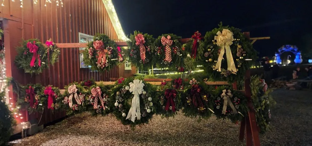 Local lawn care service near you in Shelton, CT by Fairview Tree Farm