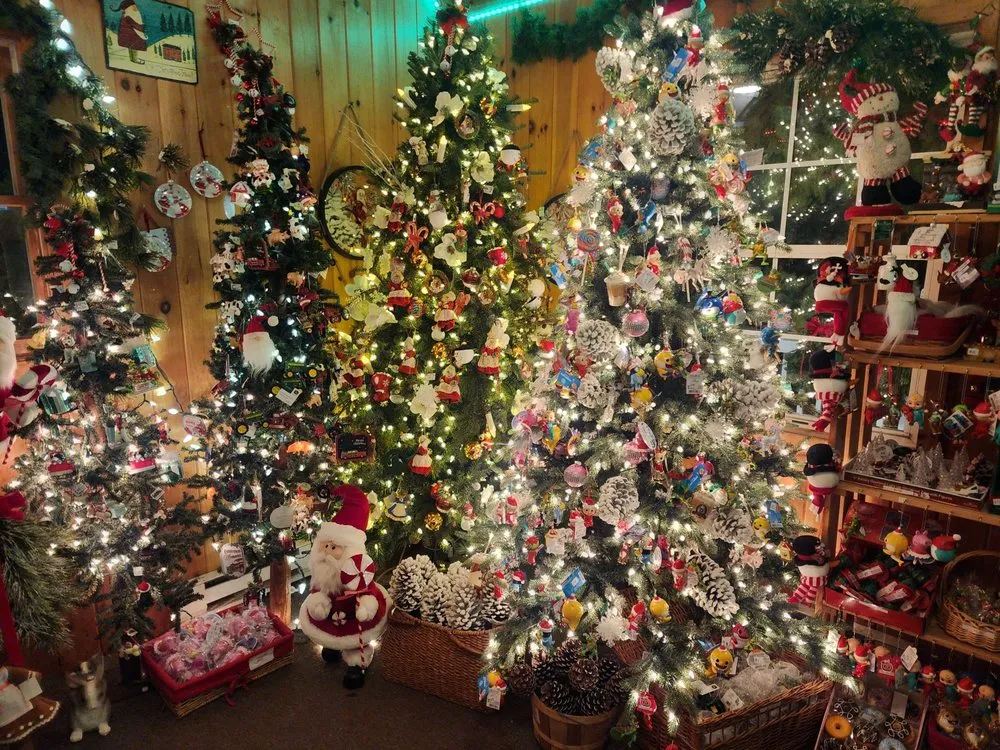 Top-rated garden landscaping experts serving Shelton, CT - Fairview Tree Farm