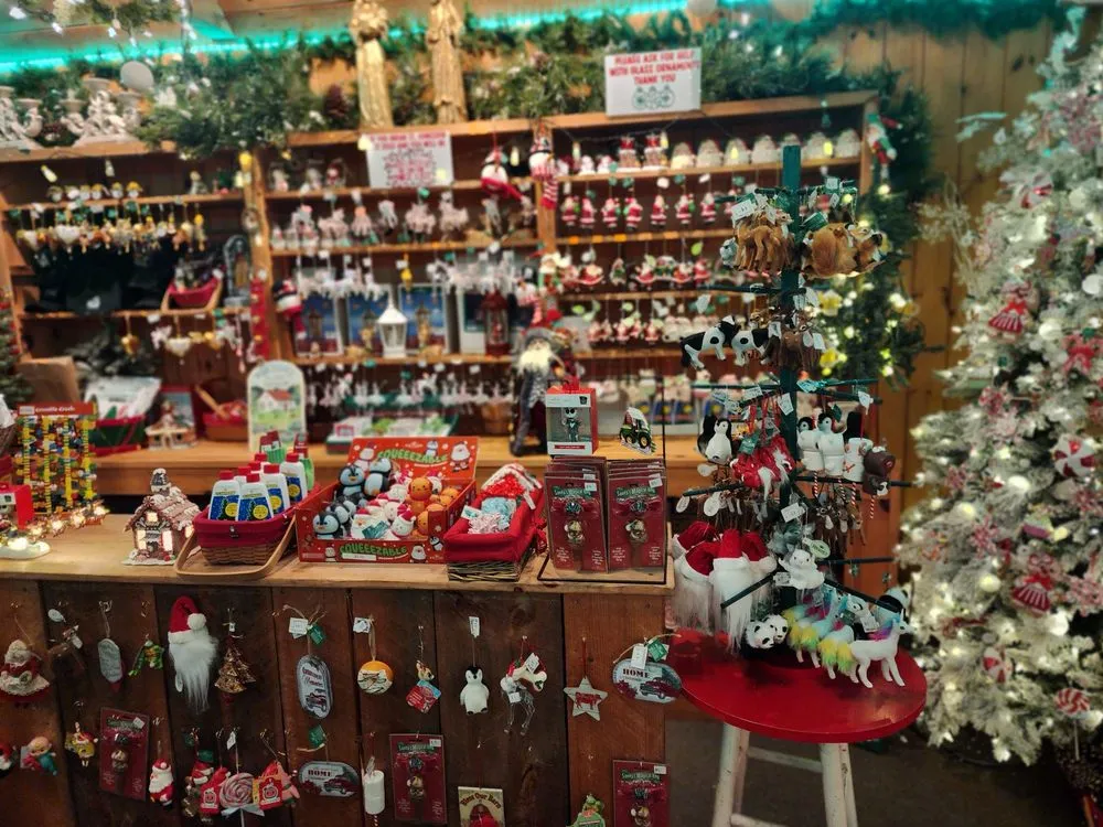 Expert outdoor landscaping in Shelton, CT by Fairview Tree Farm