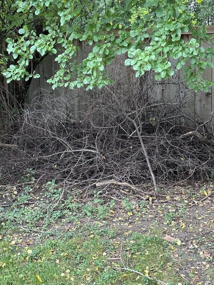 Affordable landscape design experts serving Melrose Park, IL - Fairway Custom Landscaping