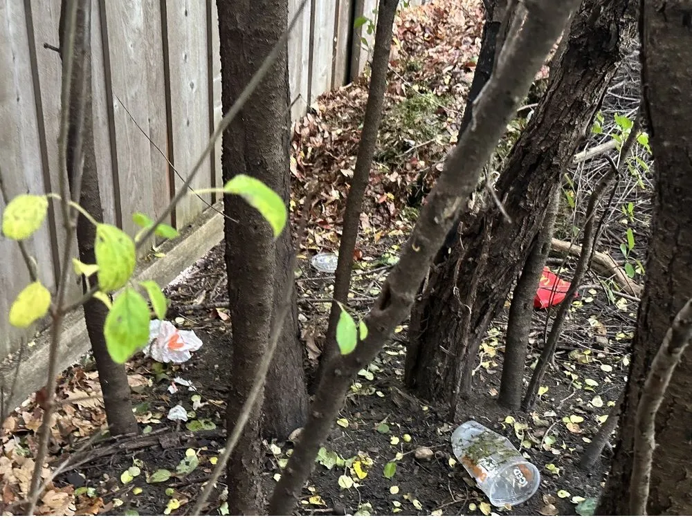 Top-rated lawn care service experts serving Melrose Park, IL - Fairway Custom Landscaping