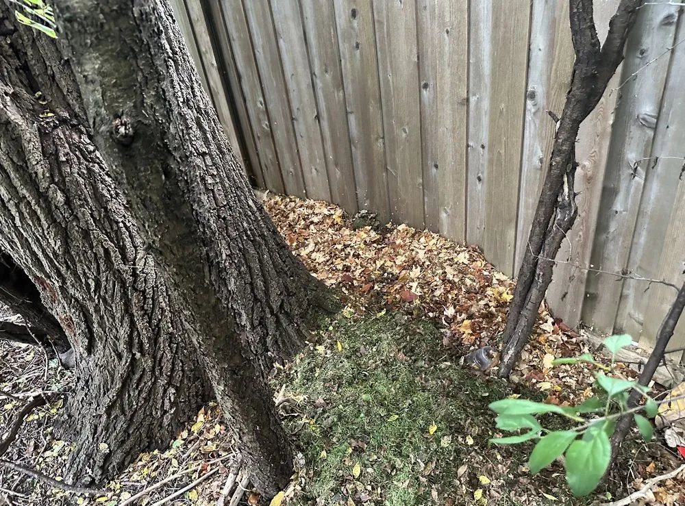 Affordable outdoor landscaping experts serving Melrose Park, IL - Fairway Custom Landscaping