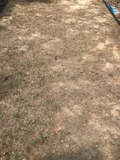 Trusted residential landscaping in Raleigh, NC - Fairway Green