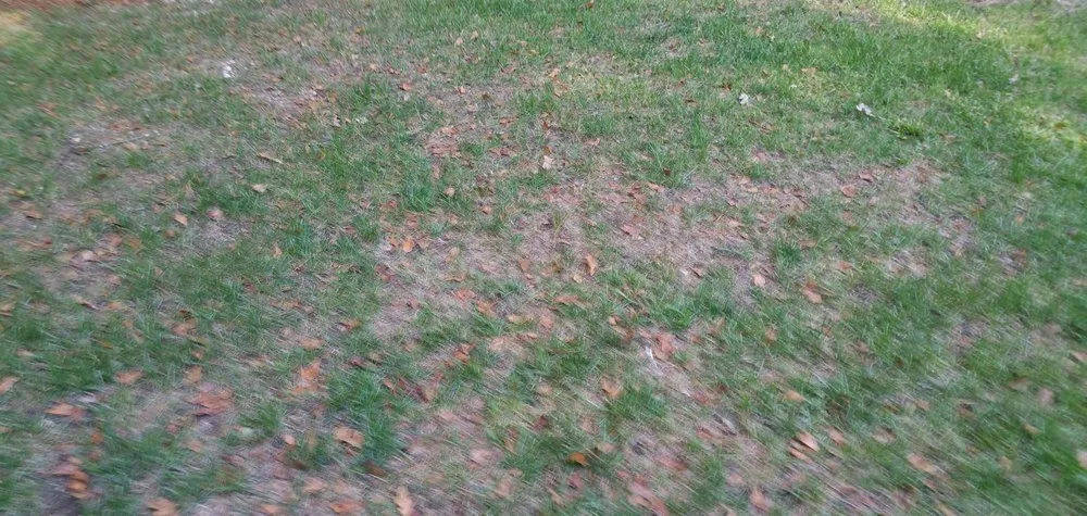 Top-rated landscape design in Raleigh, NC by Fairway Green