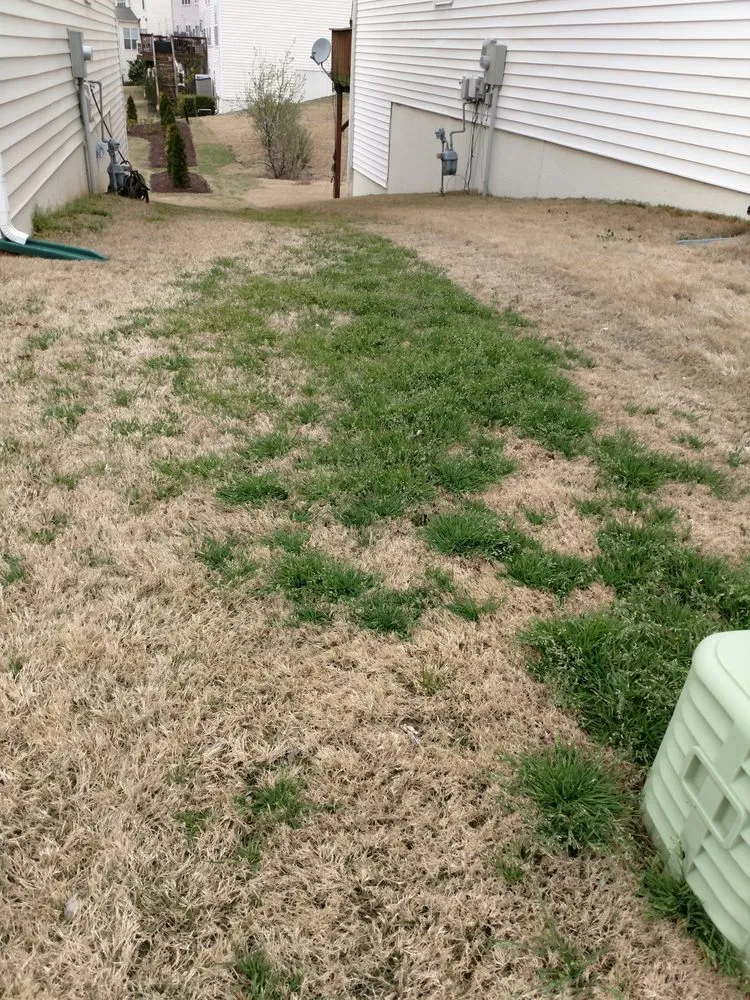 Top-rated outdoor landscaping in Raleigh, NC by Fairway Green