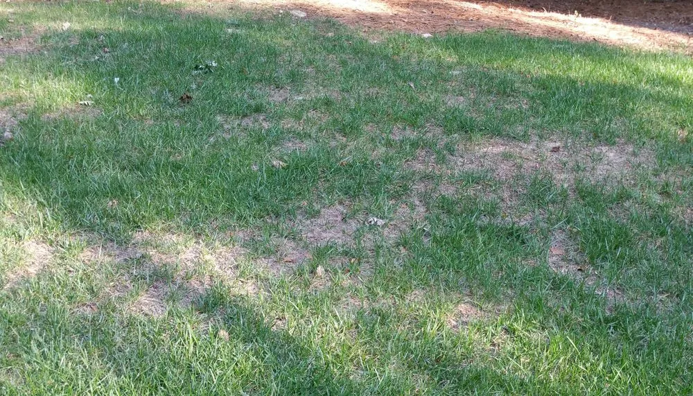 Local outdoor landscaping experts serving Raleigh, NC - Fairway Green