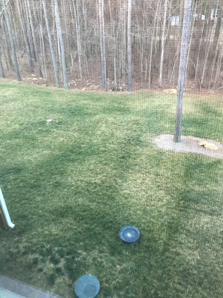 Top-rated residential landscaping in Raleigh, NC by Fairway Green