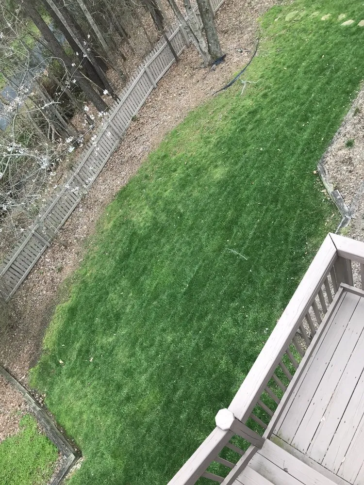 Local landscaping services in Raleigh, NC - Fairway Green