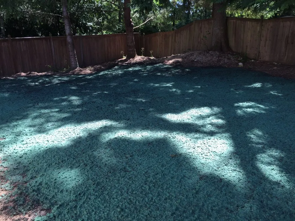 Professional yard cleanup service for outdoor upgrades in Bremerton, WA by Fairway Hydroseed
