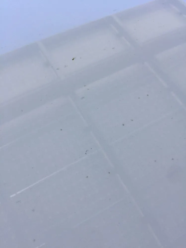 Top-rated lawn mowing service for outdoor upgrades in Riverside, CA by Fairway Landscape & Irrigation