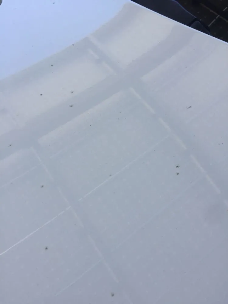 Top-rated landscaping services in Riverside, CA by Fairway Landscape & Irrigation