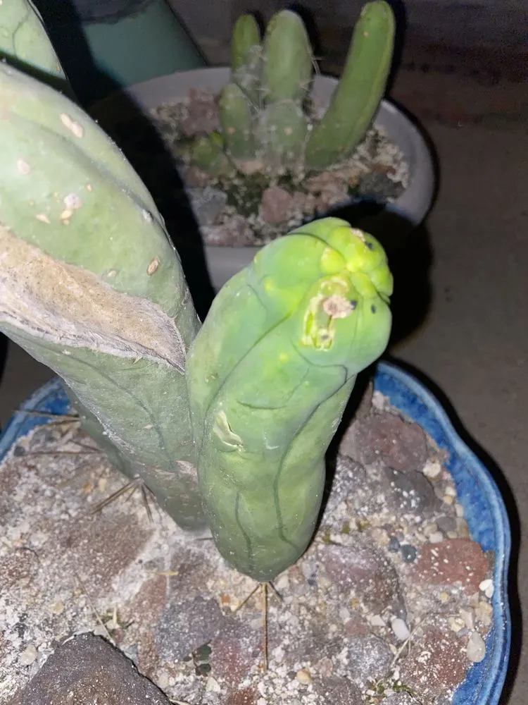 Local yard maintenance in Monroe, MI - Fairway Lawn & Landscape