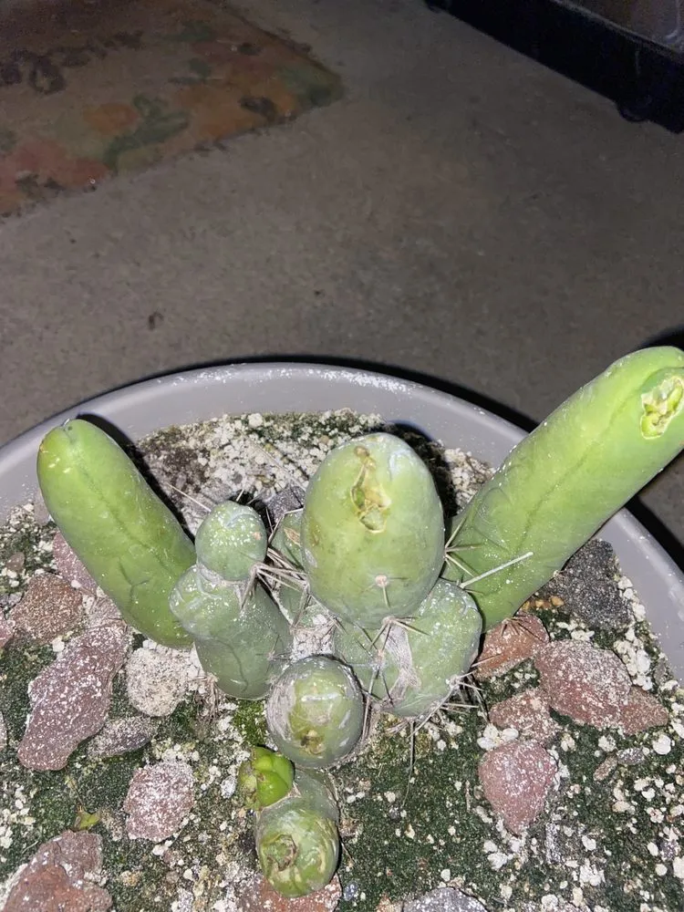 Affordable residential landscaping for homes in Monroe, MI by Fairway Lawn & Landscape