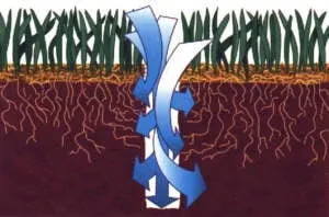 Top-rated lawn care service in Los Altos, CA by Fairway Lawn Service