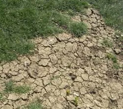 Affordable yard maintenance experts serving Los Altos, CA - Fairway Lawn Service