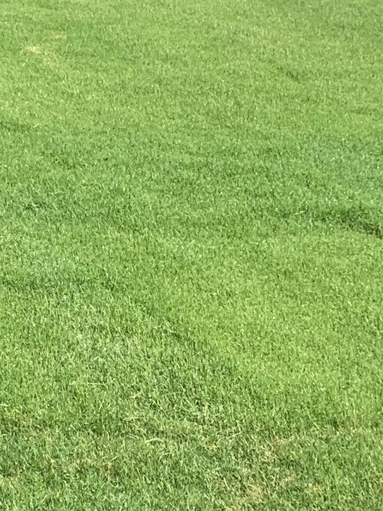 Affordable lawn care service for residential properties across Marietta, GA - Fairway Lawn Service