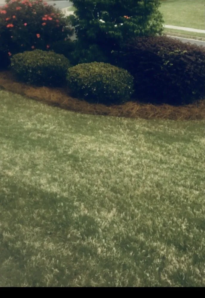 Reliable landscape installation in Marietta, GA by Fairway Lawn Service