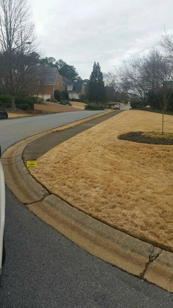Professional outdoor landscaping for homes in Marietta, GA by Fairway Lawn Service