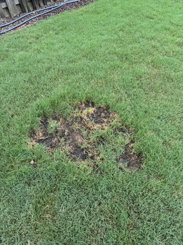 Local yard cleanup service experts serving Marietta, GA - Fairway Lawn Service