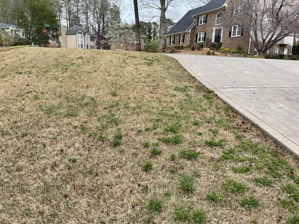 Top-rated lawn care service in Marietta, GA - Fairway Lawn Service