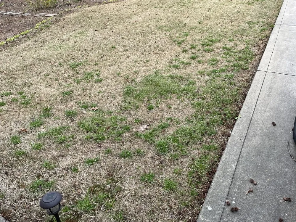 Expert yard maintenance for outdoor upgrades in Marietta, GA by Fairway Lawn Service