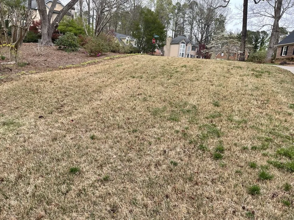 Reliable yard maintenance with custom design across Marietta, GA - Fairway Lawn Service