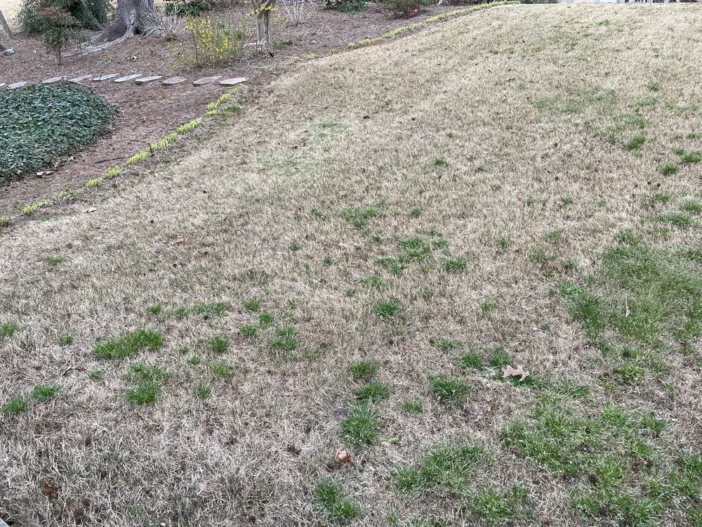 Custom yard maintenance for outdoor upgrades in Marietta, GA by Fairway Lawn Service