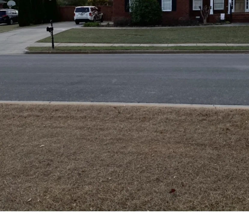 Professional landscape installation experts serving Huntsville, AL - Fairway Lawns