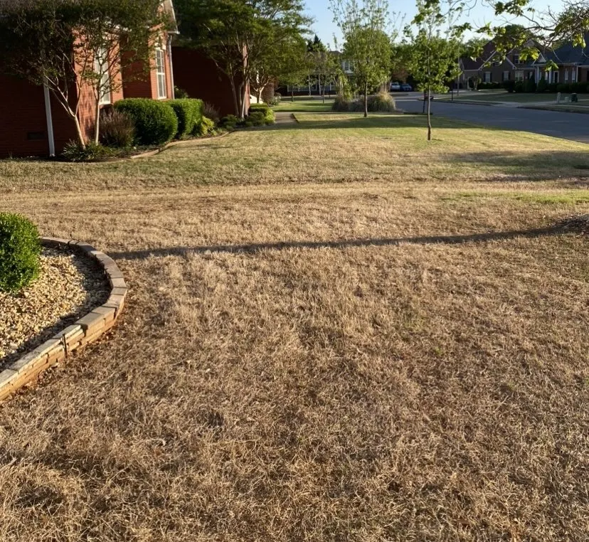 Expert landscaping services experts serving Huntsville, AL - Fairway Lawns