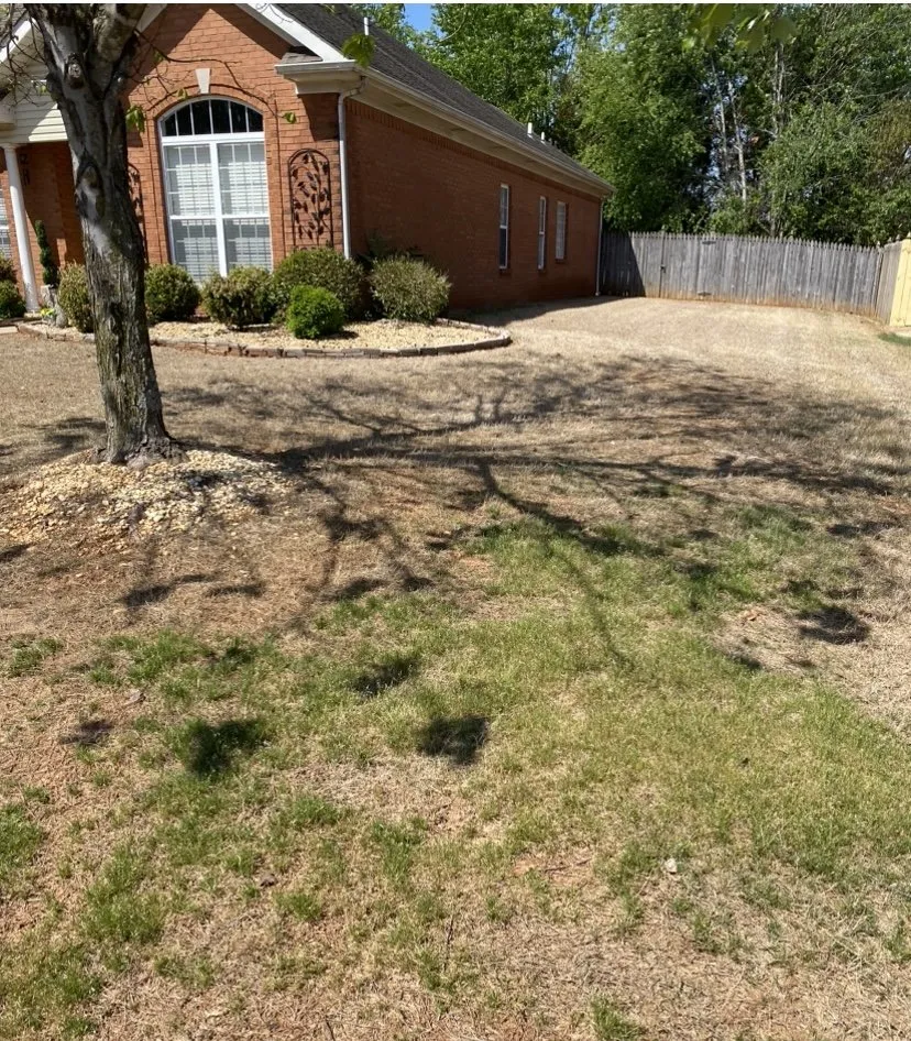 Top-rated landscape design in Huntsville, AL - Fairway Lawns