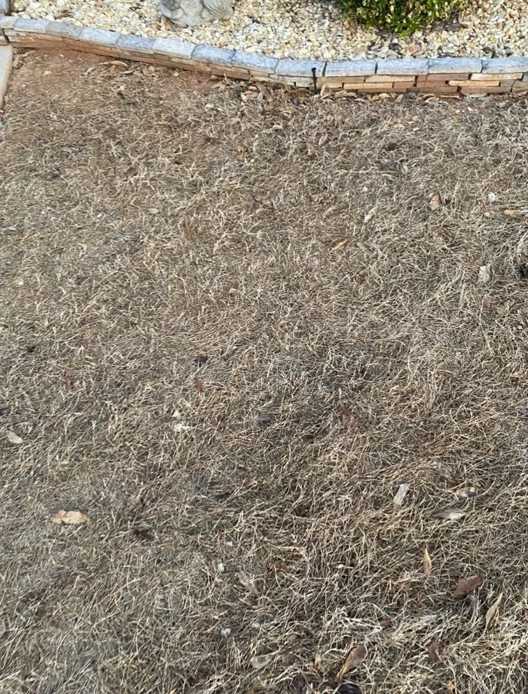 Trusted landscape installation in Huntsville, AL - Fairway Lawns