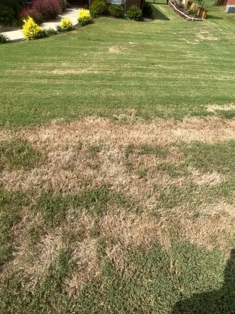 Expert landscape installation for year-round maintenance across Augusta, GA - Fairway Lawns of Augusta
