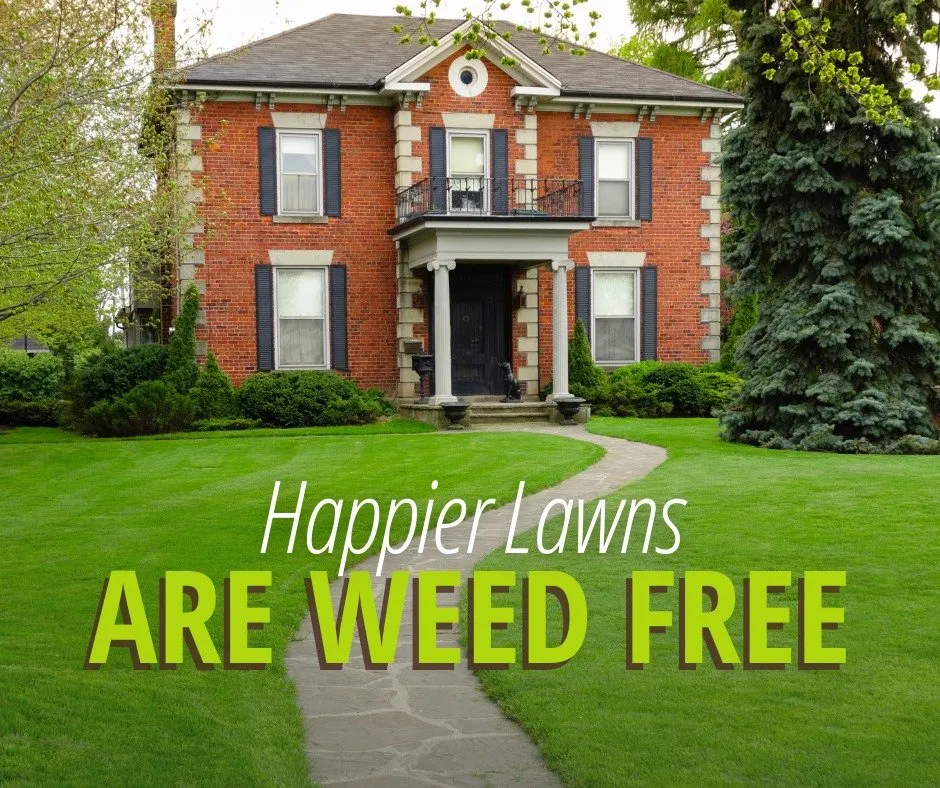 Affordable lawn mowing service in Augusta, GA - Fairway Lawns of Augusta