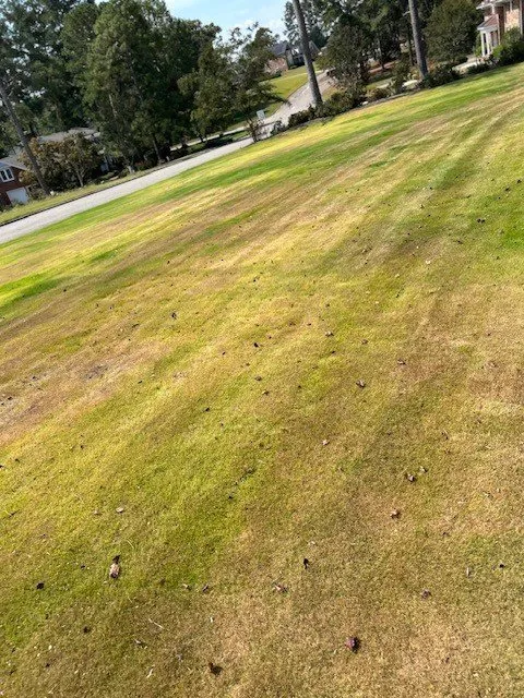 Custom yard cleanup service in Augusta, GA by Fairway Lawns of Augusta