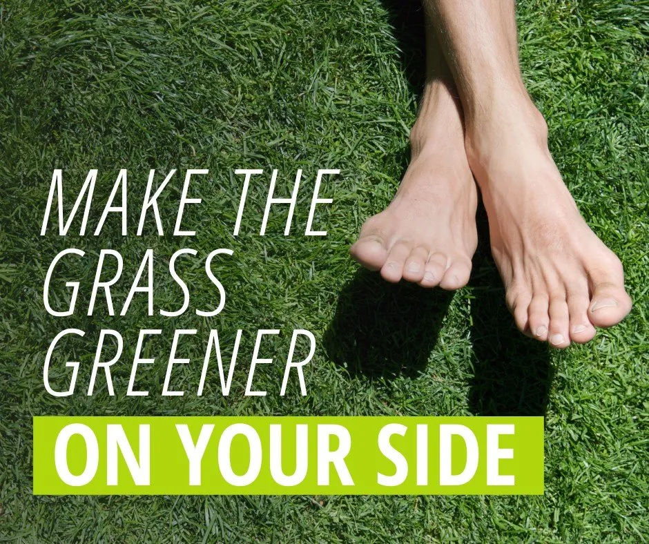 Professional landscaping services in Birmingham, AL - Fairway Lawns of Birmingham