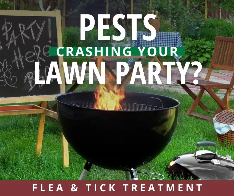 Top-rated garden landscaping experts serving Birmingham, AL - Fairway Lawns of Birmingham