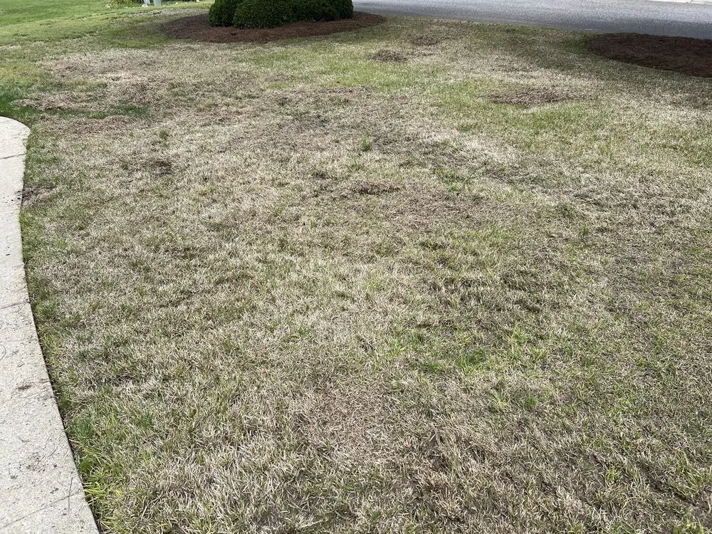 Reliable landscape design for residential properties across Columbia, SC - Fairway Lawns of Columbia