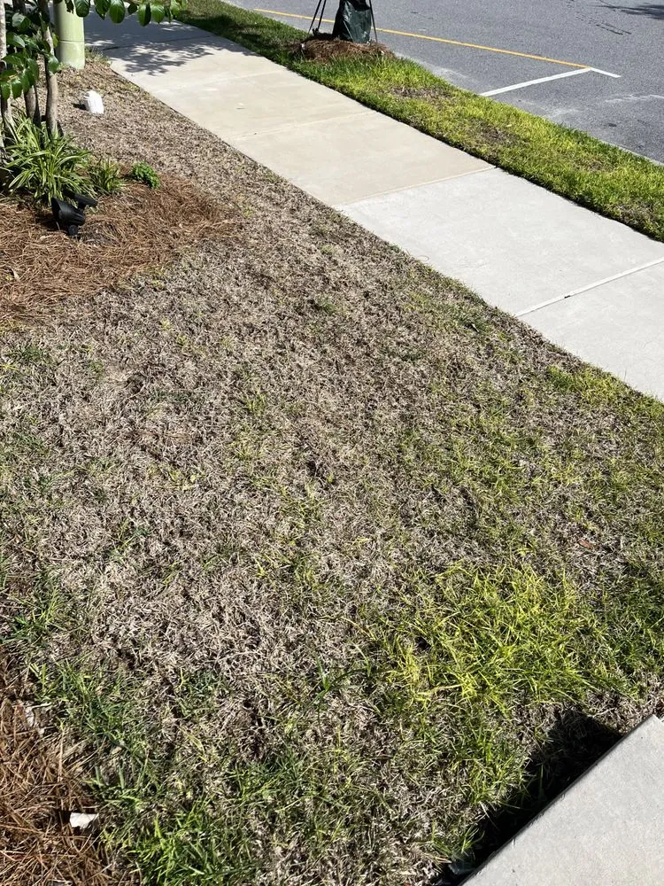 Trusted yard maintenance in Columbia, SC - Fairway Lawns of Columbia