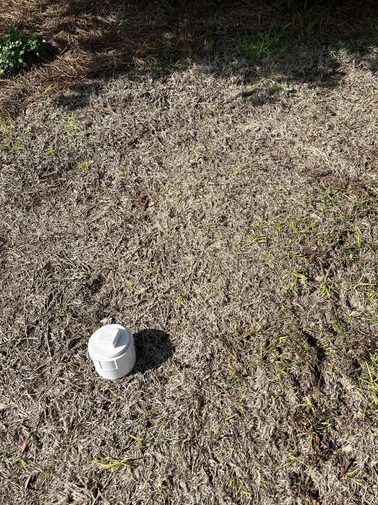 Expert landscaping services in Columbia, SC by Fairway Lawns of Columbia