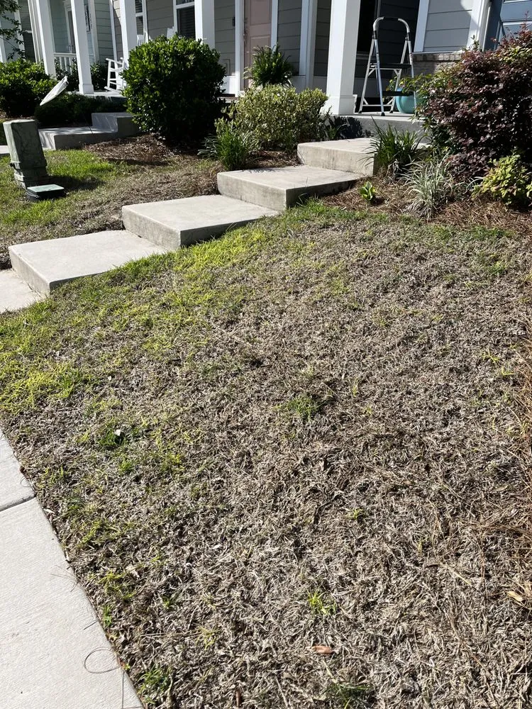 Affordable yard maintenance experts serving Columbia, SC - Fairway Lawns of Columbia