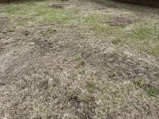 Fairway Lawns of Columbia Logo