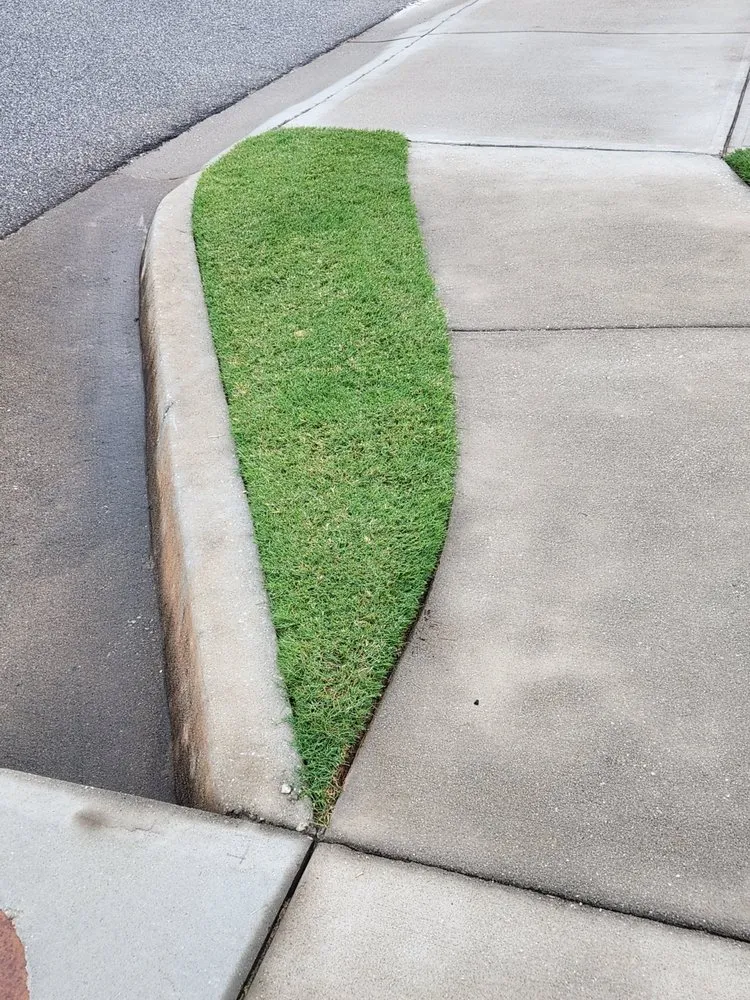 Top-rated outdoor landscaping for outdoor upgrades in Greenville, SC by Fairway Lawns of Greenville