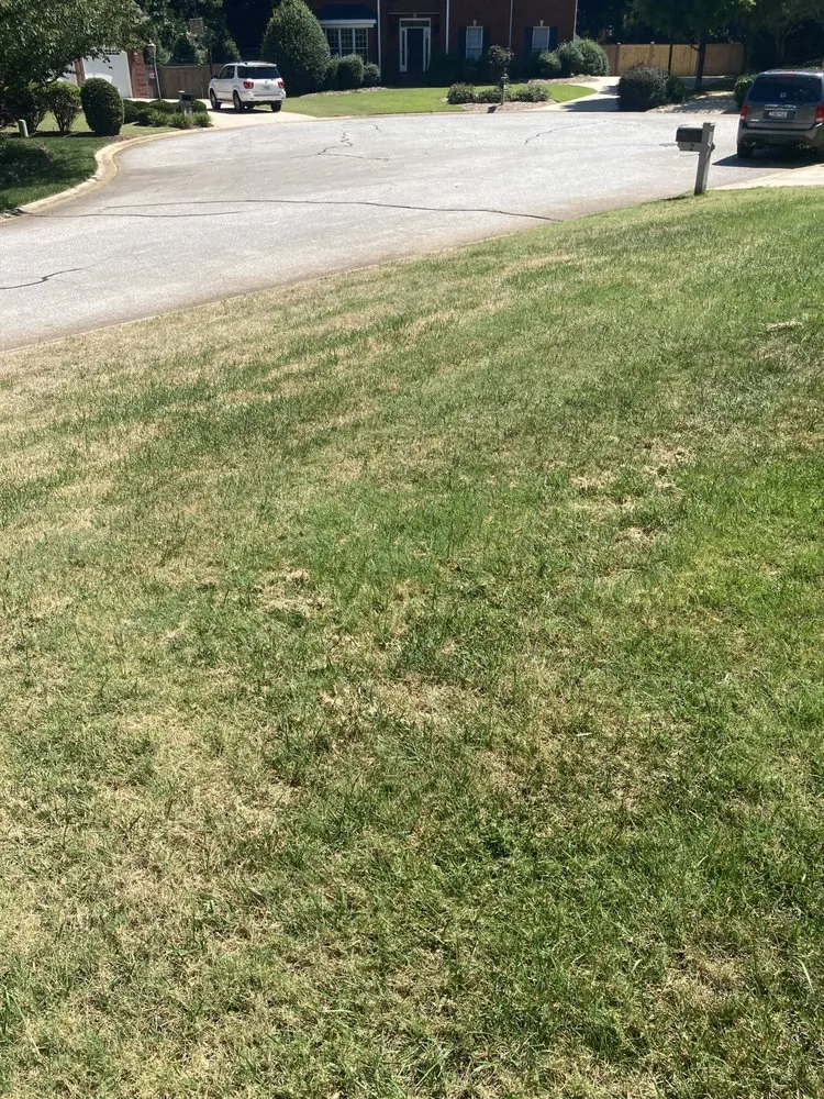 Affordable residential landscaping in Greenville, SC - Fairway Lawns of Greenville