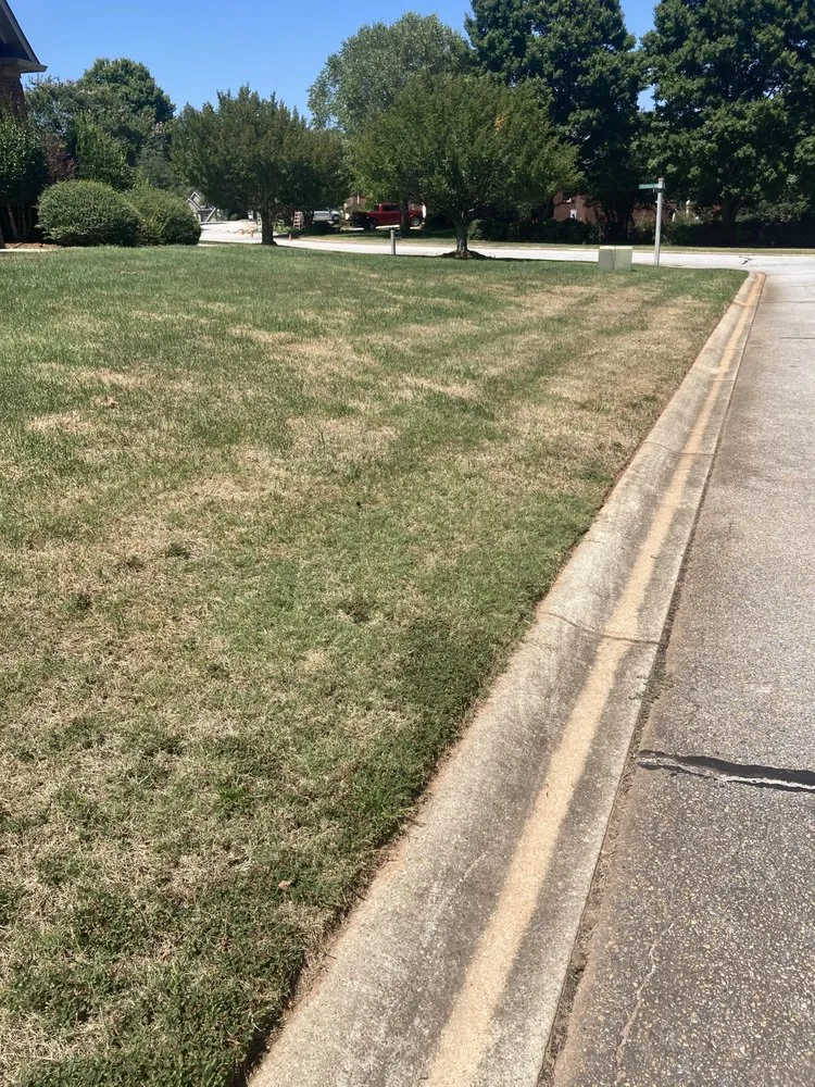 Local landscape design for outdoor upgrades in Greenville, SC by Fairway Lawns of Greenville