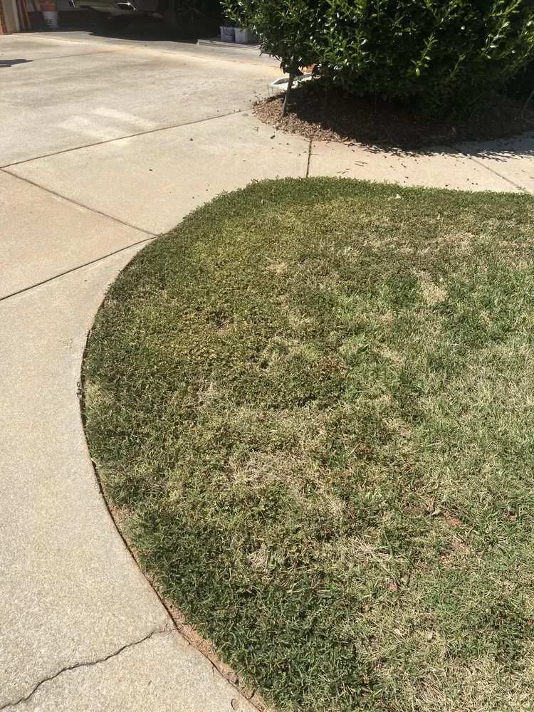 Top-rated landscape installation experts serving Greenville, SC - Fairway Lawns of Greenville